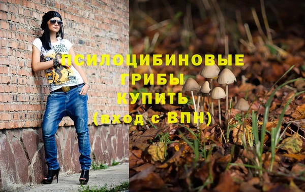 эйфоретик Алексин