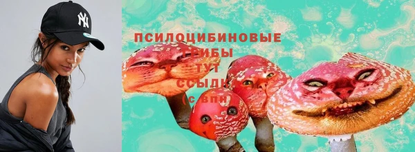 эйфоретик Алексин